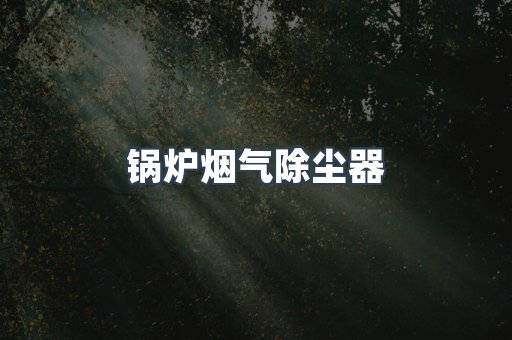 锅炉烟气除尘器