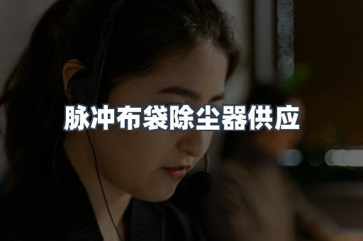 脉冲布袋除尘器